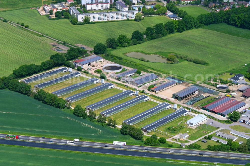 Aerial image Wittenburg - Animal breeding equipment Livestock breeding for meat production on street Lehsener Chaussee in Wittenburg in the state Mecklenburg - Western Pomerania, Germany