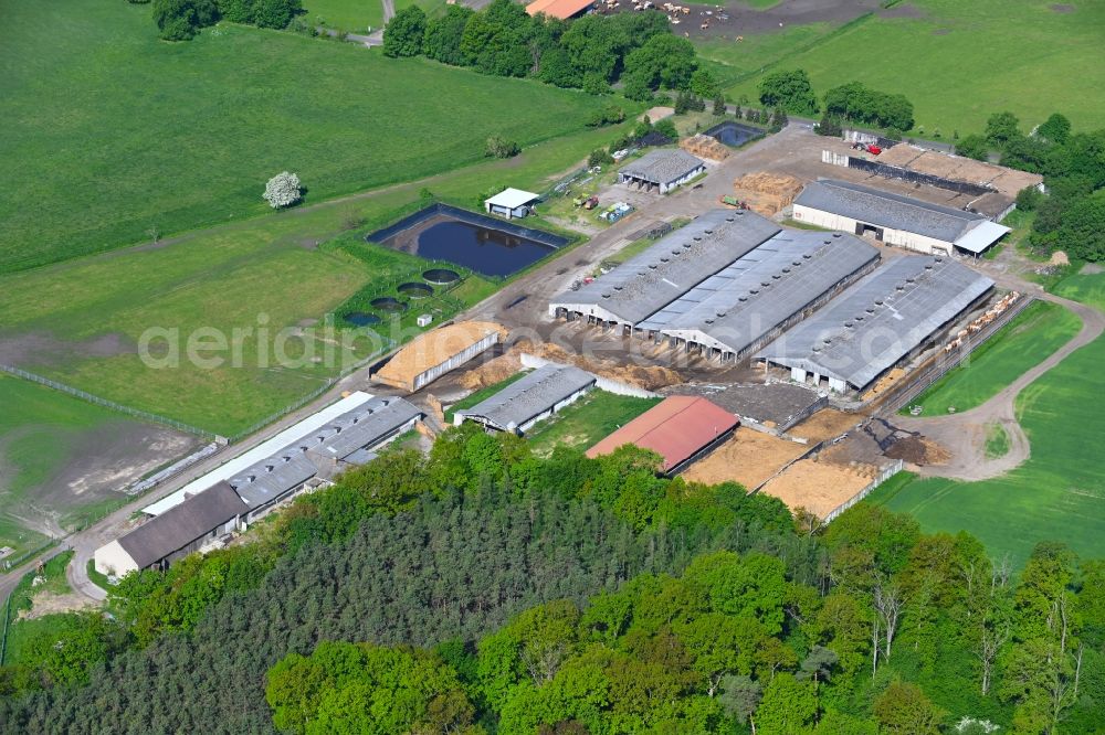 Zerpenschleuse from above - Animal breeding equipment Livestock breeding for meat production in Zerpenschleuse in the state Brandenburg, Germany