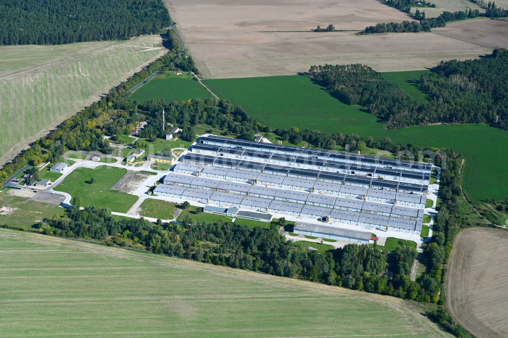 Aerial image Kuhlowitz - Stalled equipment for poultry farming and poultry production Duck-tec Brueterei GmbH in Kuhlowitz in the state Brandenburg, Germany