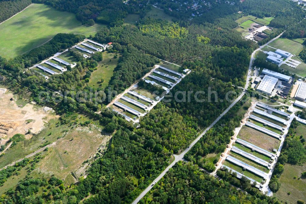 Königs Wusterhausen from the bird's eye view: Stalled equipment for poultry farming and poultry production in the district Zernsdorf in Koenigs Wusterhausen in the state Brandenburg, Germany