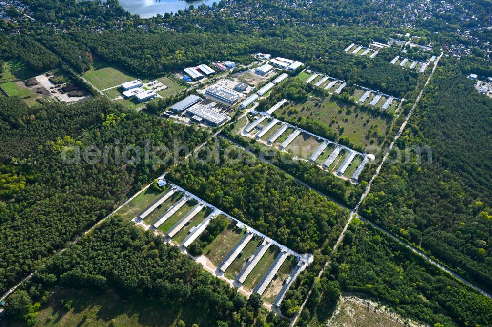 Aerial photograph Königs Wusterhausen - Stalled equipment for poultry farming and poultry production in the district Zernsdorf in Koenigs Wusterhausen in the state Brandenburg, Germany