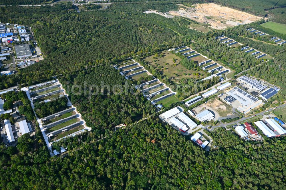 Königs Wusterhausen from the bird's eye view: Stalled equipment for poultry farming and poultry production in the district Zernsdorf in Koenigs Wusterhausen in the state Brandenburg, Germany