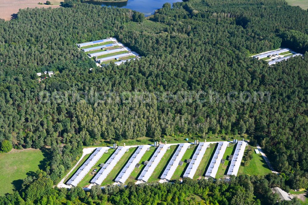 Aerial image Biesenthal - Stalled equipment for poultry farming and poultry production on Ruednitzer Chaussee in the district Wullwinkel in Biesenthal in the state Brandenburg, Germany