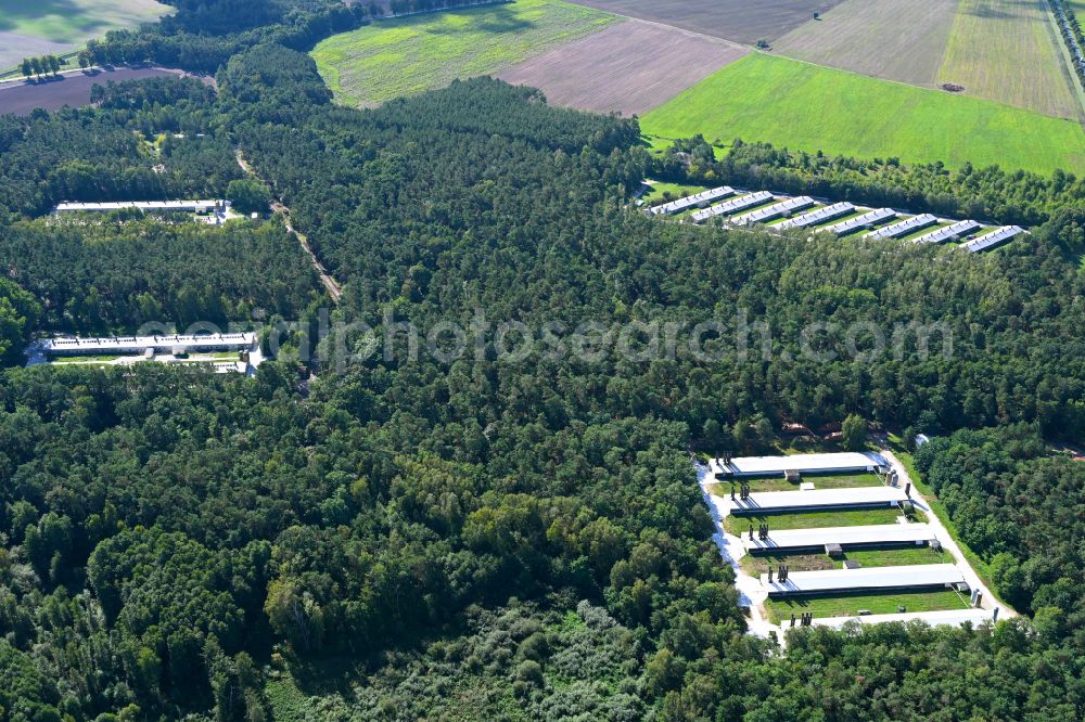Biesenthal from above - Stalled equipment for poultry farming and poultry production on Ruednitzer Chaussee in the district Wullwinkel in Biesenthal in the state Brandenburg, Germany