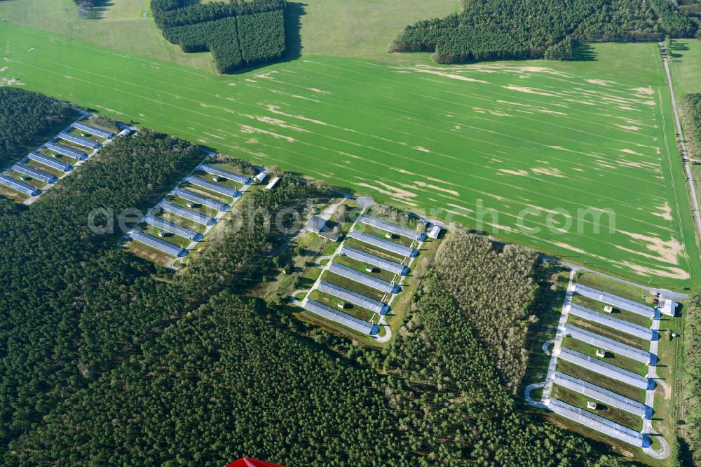 Aerial photograph Temnitzquell - Stalled equipment for poultry farming and poultry production on street Dorfstrasse in Temnitzquell in the state Brandenburg, Germany