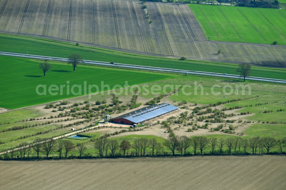 Wulfersdorf from above - Stalled equipment for poultry farming and poultry production on street Alter Eichenfelder Weg in Wulfersdorf in the state Brandenburg, Germany