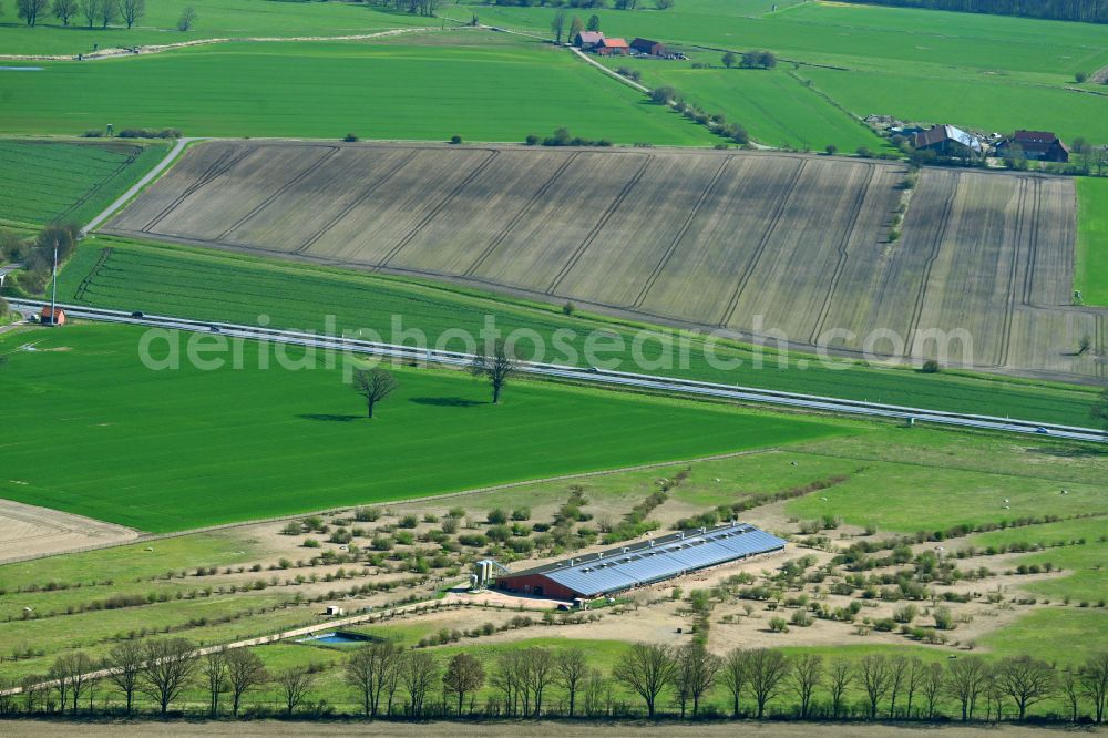 Wulfersdorf from the bird's eye view: Stalled equipment for poultry farming and poultry production on street Alter Eichenfelder Weg in Wulfersdorf in the state Brandenburg, Germany