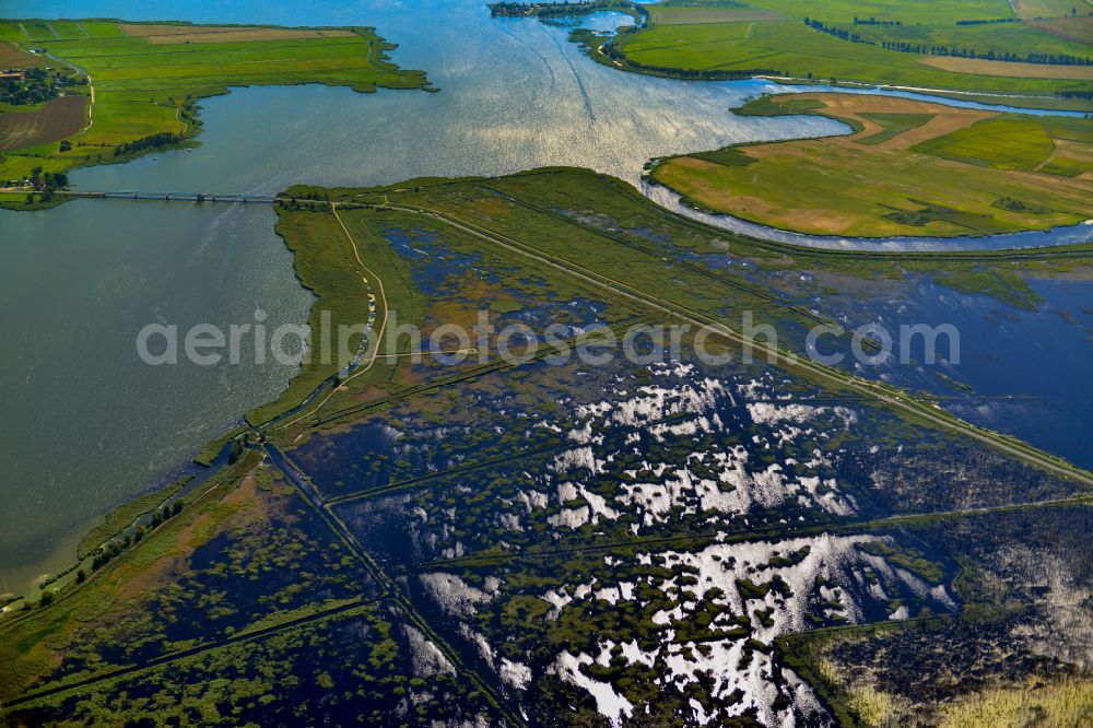 Buggenhagen from above - Ponds and Morast- water surface with trees and vegetation in a pond landscape in Buggenhagen in the state Mecklenburg - Western Pomerania, Germany