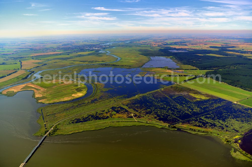 Aerial photograph Buggenhagen - Ponds and Morast- water surface with trees and vegetation in a pond landscape in Buggenhagen in the state Mecklenburg - Western Pomerania, Germany