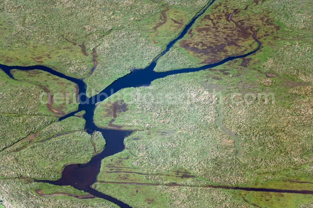 Aerial image Neuenkirchen - Ponds and Morast- water surface in a pond landscape at Kooser See in Neuenkirchen in the state Mecklenburg - Western Pomerania, Germany