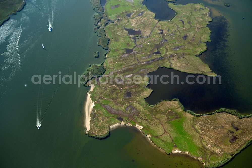 Aerial photograph Kröslin - Ponds and Morast- water surface in a pond landscape along the course of the Peenestrom river at the Kroesliner See in Kroeslin in the state Mecklenburg - Western Pomerania, Germany