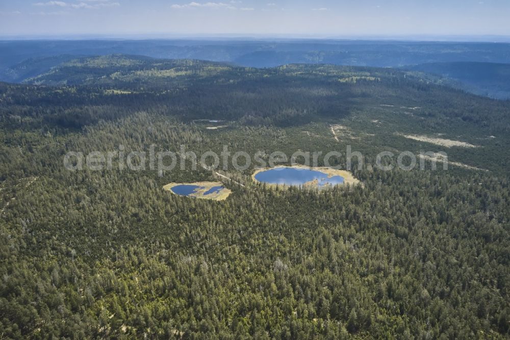 Aerial image Gernsbach - Ponds and Morast- water surface in a pond landscape in Gernsbach in the state Baden-Wurttemberg, Germany