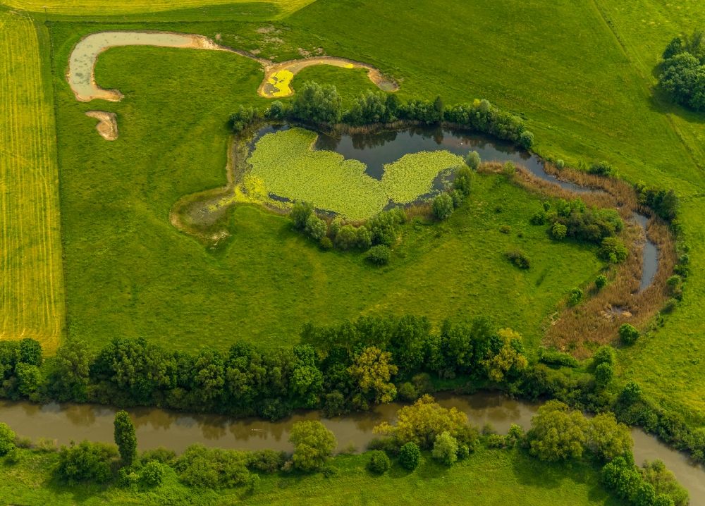 Aerial photograph Bergkamen - Ponds and Morast- water surface in a pond landscape in Bergkamen in the state North Rhine-Westphalia, Germany