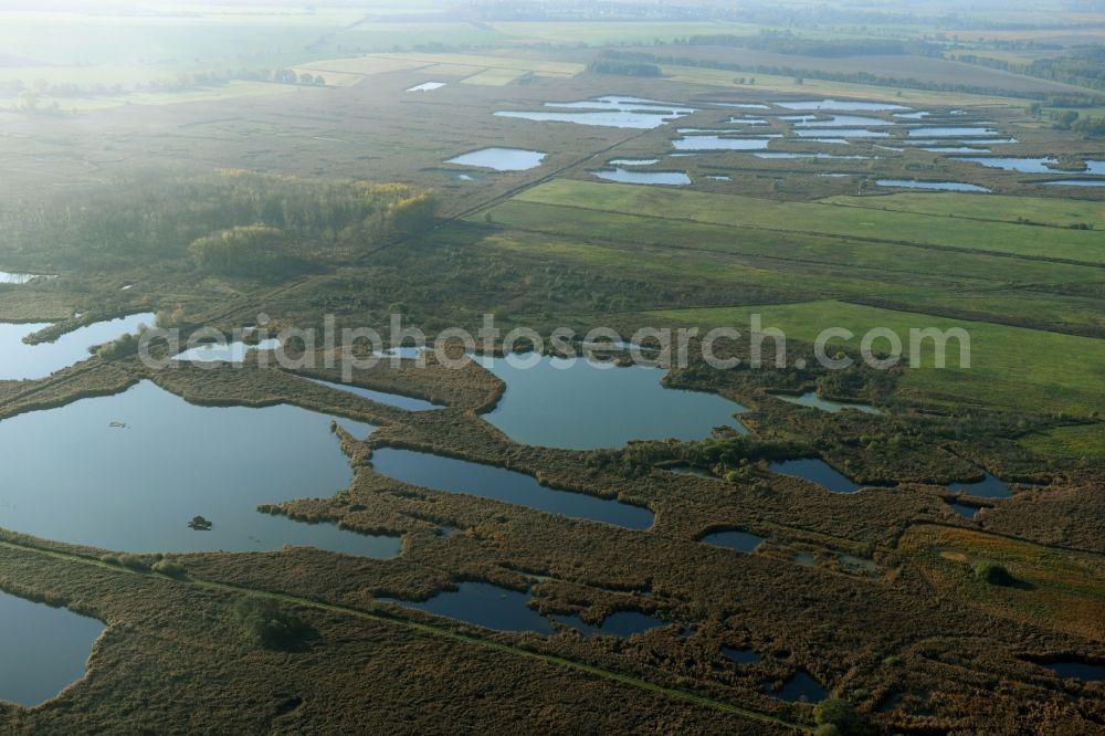 Aerial photograph Päwesin - Ponds and Morast- water surface in a pond landscape in Paewesin in the state Brandenburg, Germany