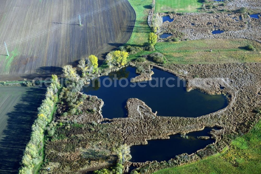 Päwesin from above - Ponds and Morast- water surface in a pond landscape in Paewesin in the state Brandenburg, Germany