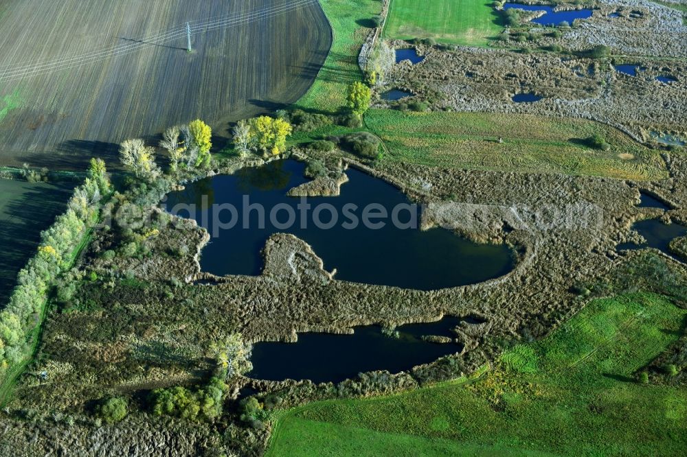 Päwesin from the bird's eye view: Ponds and Morast- water surface in a pond landscape in Paewesin in the state Brandenburg, Germany