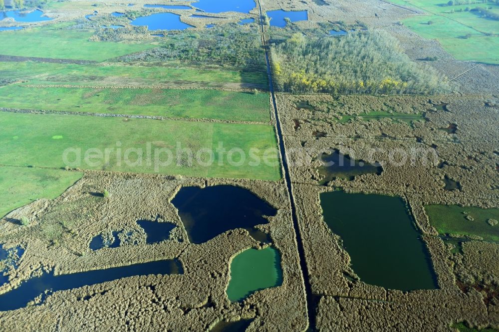 Aerial photograph Päwesin - Ponds and Morast- water surface in a pond landscape in Paewesin in the state Brandenburg, Germany