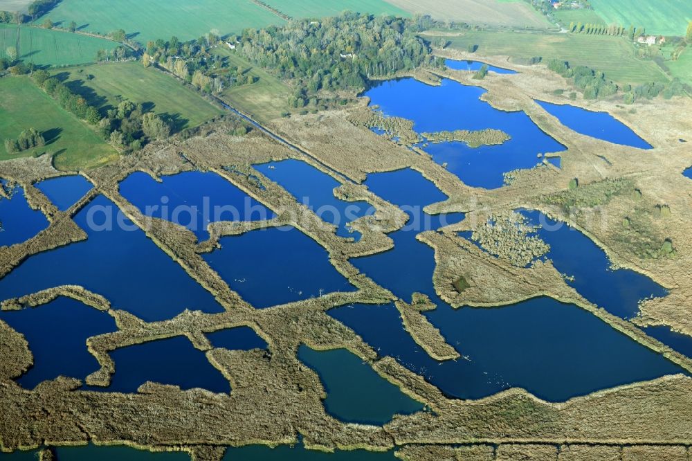 Aerial image Päwesin - Ponds and Morast- water surface in a pond landscape in Paewesin in the state Brandenburg, Germany