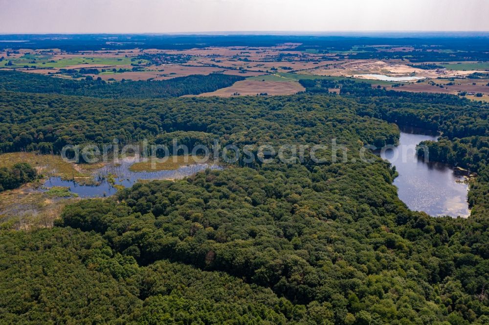 Aerial photograph Angermünde - Ponds and Morast- water surface in a pond landscape Weltnaturerbe Grumsiner Forst in Angermuende in the state Brandenburg, Germany