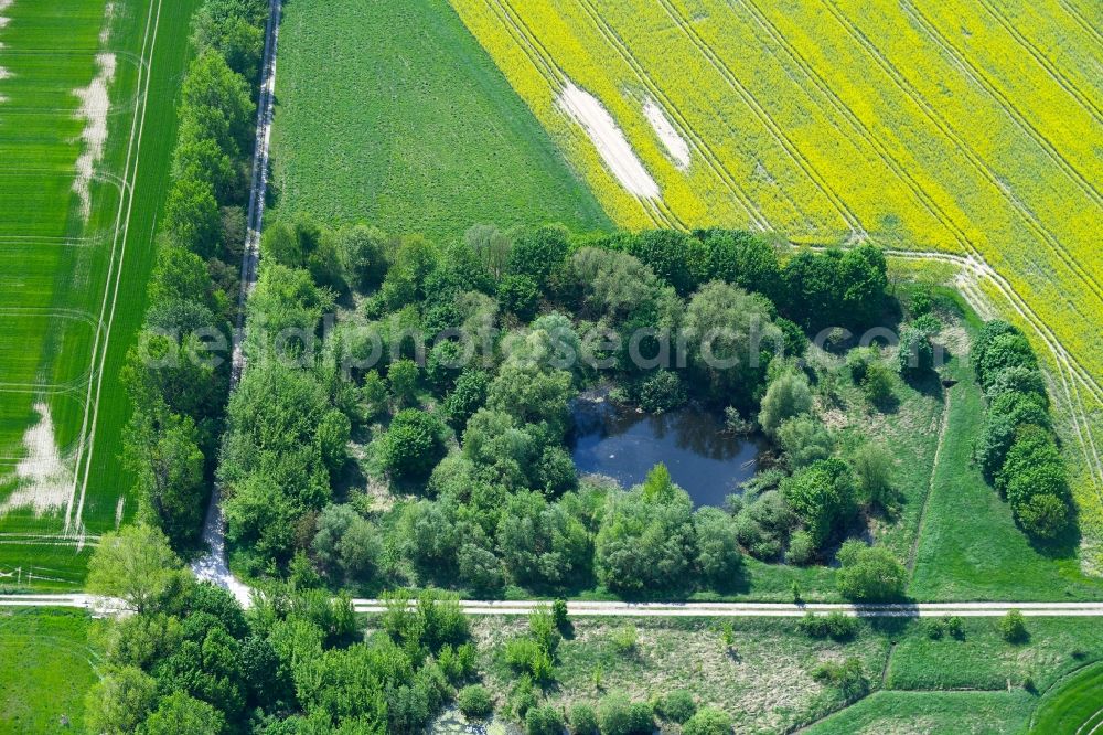 Aerial photograph Willmersdorf - Pool oases on agricultural fields in Willmersdorf in the state Brandenburg, Germany