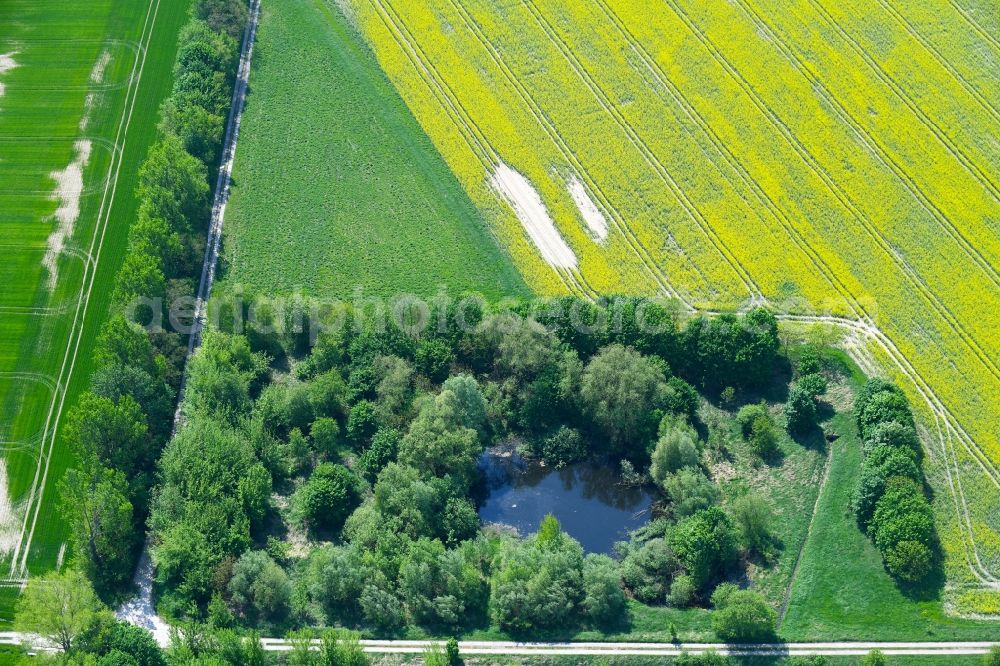 Willmersdorf from above - Pool oases on agricultural fields in Willmersdorf in the state Brandenburg, Germany