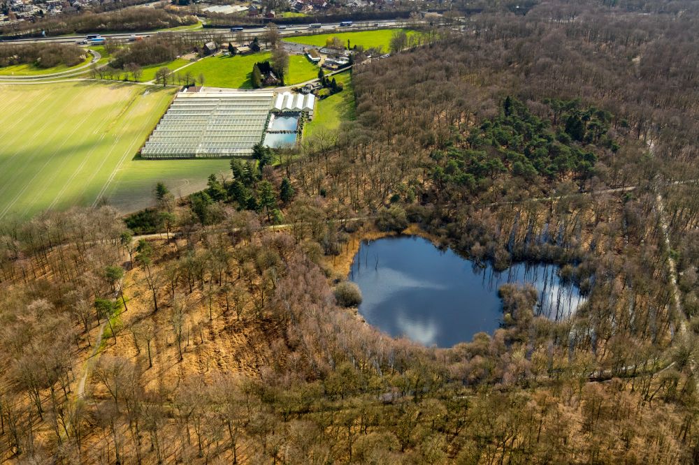 Aerial image Grafenwald - Pond water surface and pond oasis in a forest area near Grafenwald in the Ruhr area in the state of North Rhine-Westphalia, Germany