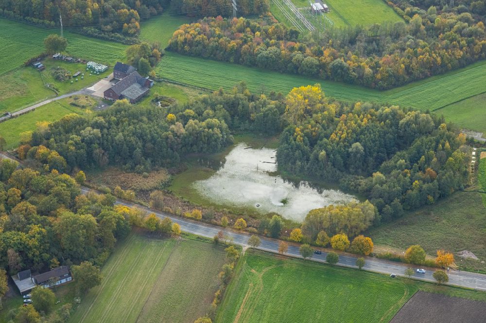 Bergkamen from the bird's eye view: Pond water surface and pond oasis on street Erich-Ollenhauer-Strasse in the district Oberaden in Bergkamen in the state North Rhine-Westphalia, Germany