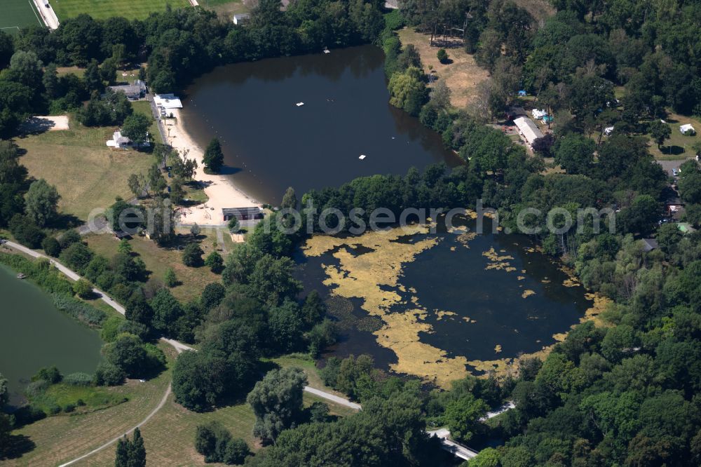 Aerial photograph Braunschweig - Pond water surface and pond oasis along the course of the Oker in Brunswick in the state Lower Saxony, Germany