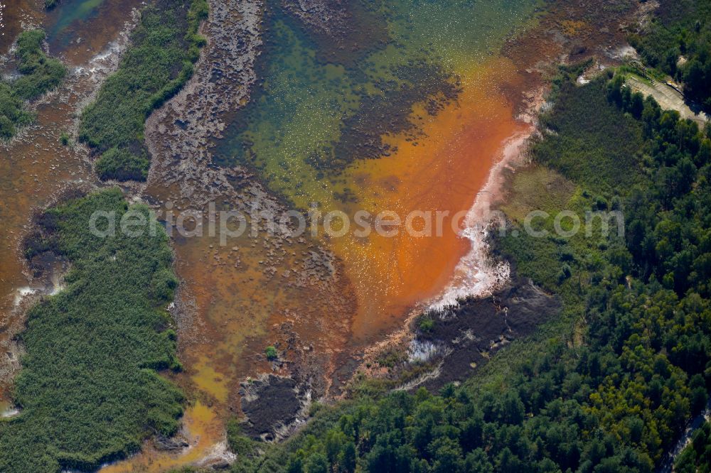Aerial image Schwarzheide - Pond water surface and pond oasis with brightly colored discharges from the nearby chemical industry and sediment deposits in Schwarzheide in the state of Brandenburg, Germany