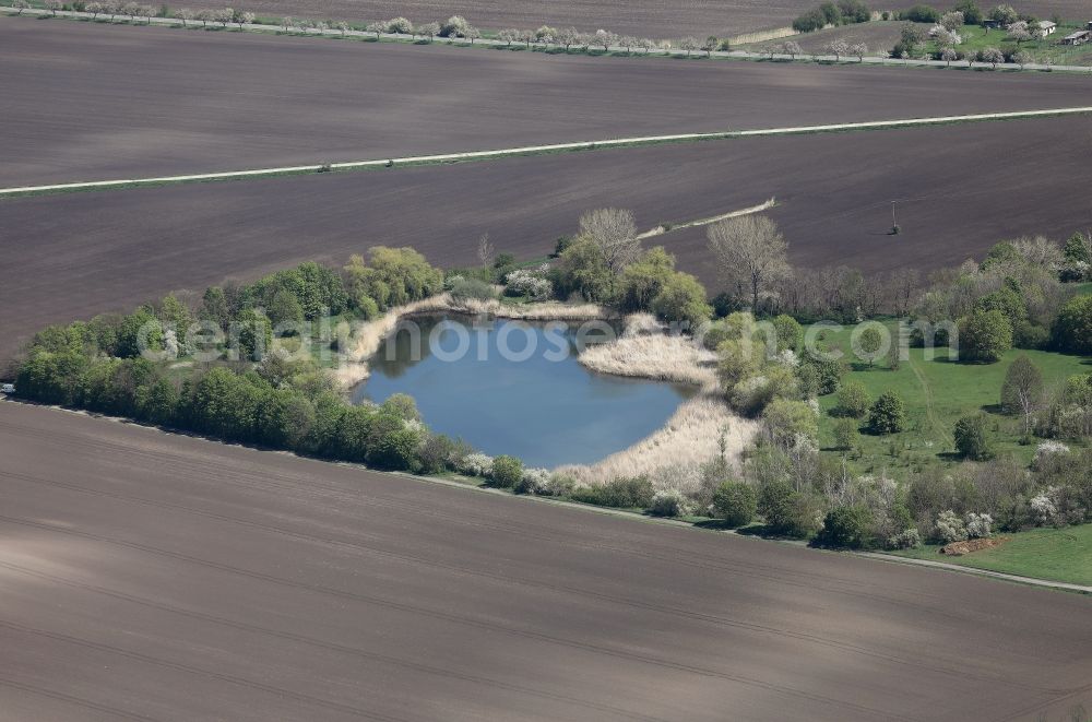 Sömmerda from above - Pond water surface and pond oasis in the district Rohrborn in Soemmerda in the state Thuringia, Germany