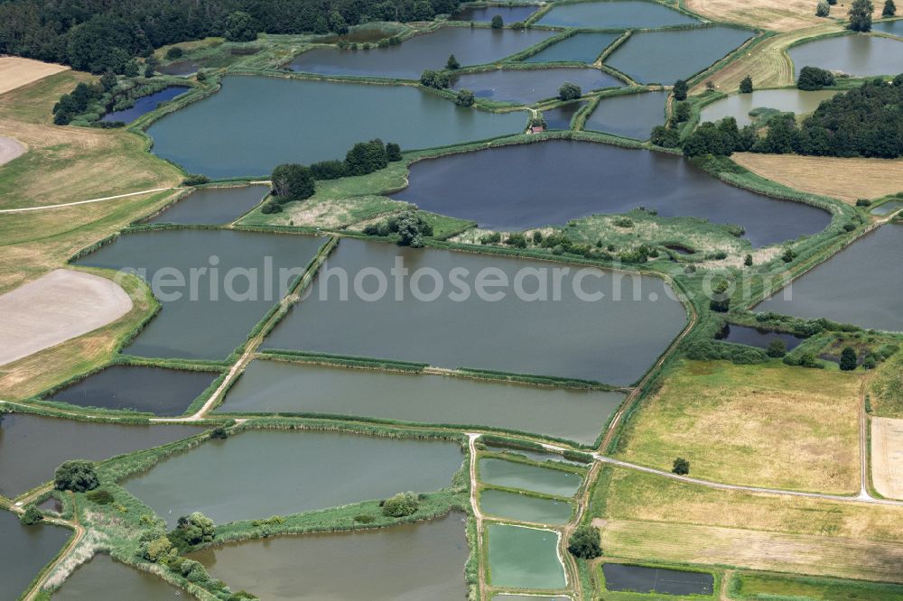 Aerial image Gremsdorf - Pond water surface and pond oasis Vogelfreistaette Weihergebiet bei Mohrhof in Gremsdorf in the state Bavaria, Germany