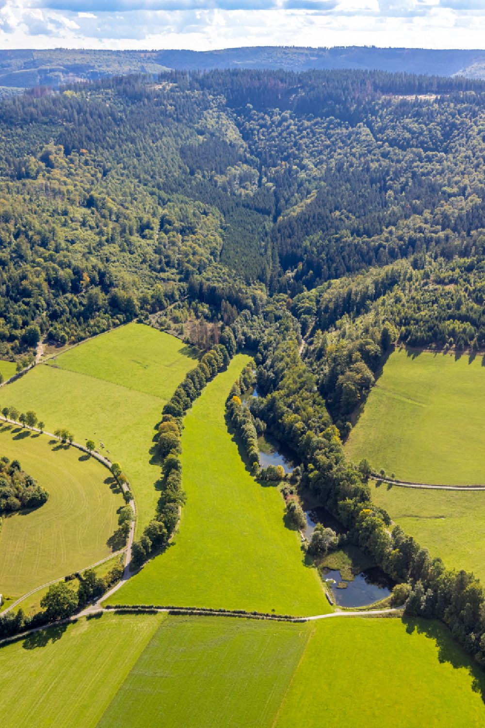 Aerial photograph Schmallenberg - Pond water surface and pond oasis with the forest sculpture path on the border between the edge of the forest and meadows at the mill pond along the course of the Bremecke river on street Herntrop in the district Grafschaft in Schmallenberg at Sauerland in the state North Rhine-Westphalia, Germany