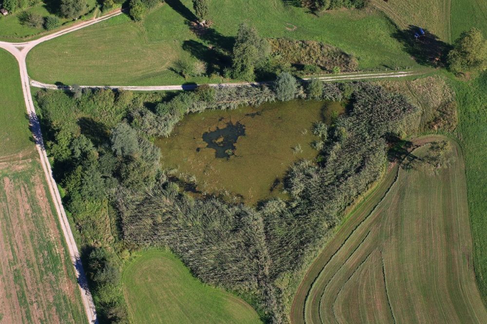 Aerial photograph Rheinfelden (Baden) - Pond and biotope in Rheinfelden (Baden) in the state Baden-Wuerttemberg