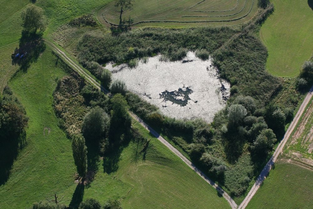 Aerial image Rheinfelden (Baden) - Pond and biotope in Rheinfelden (Baden) in the state Baden-Wuerttemberg