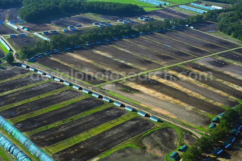 Aerial photograph Neustadt-Glewe - Peat degradation on the moor fields in Neustadt-Glewe in the state Mecklenburg - Western Pomerania, Germany