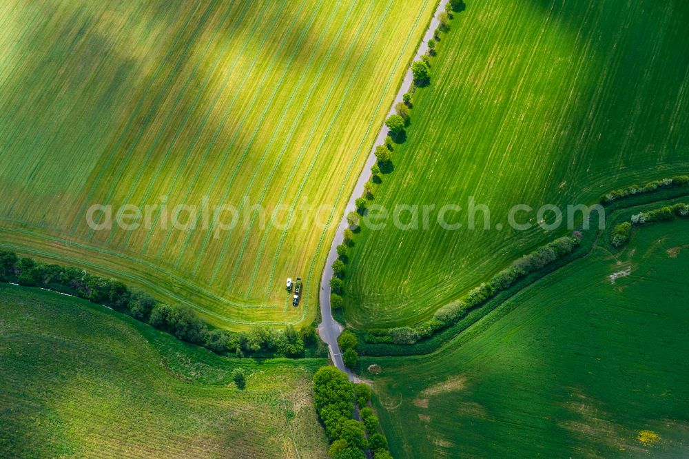 Aerial image Malchow - Transport vehicles in agricultural fields in Malchow in the state Mecklenburg - Western Pomerania, Germany