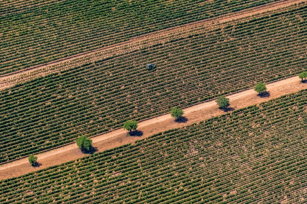 Aerial photograph Manacor - Transport vehicles in agricultural fields in Manacor in Balearic island of Mallorca, Spain