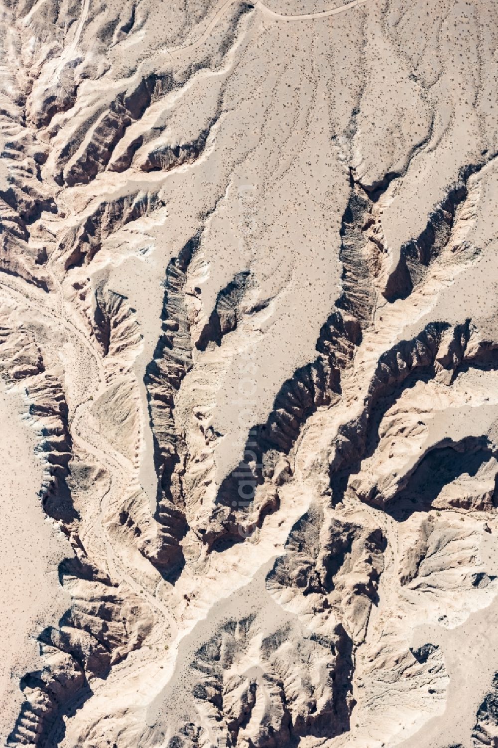 Aerial image Littlefield - Landscape of the dry desert deformed by soil erosion and traces of water in Littlefield in Arizona, United States of America