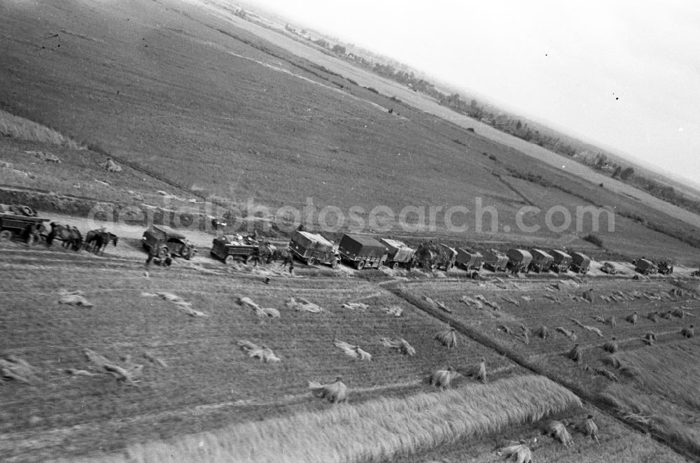 Aerial photograph Luhansk - Soldiers and army units with vehicles and armament equipmentgerman soldiers of the National Socialist Wehrmacht in a convoy on a country road in Luhansk Donezk in Ukraine