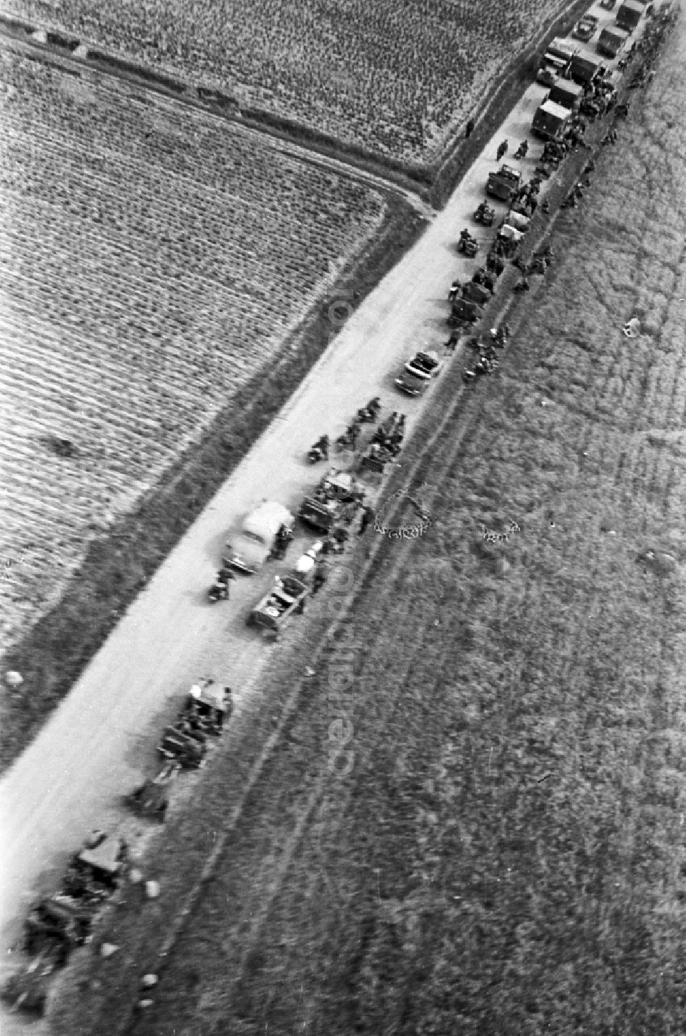 Aerial photograph Luhansk - Soldiers and army units with vehicles and armament equipmentgerman soldiers of the National Socialist Wehrmacht in a convoy on a country road in Luhansk Donezk in Ukraine