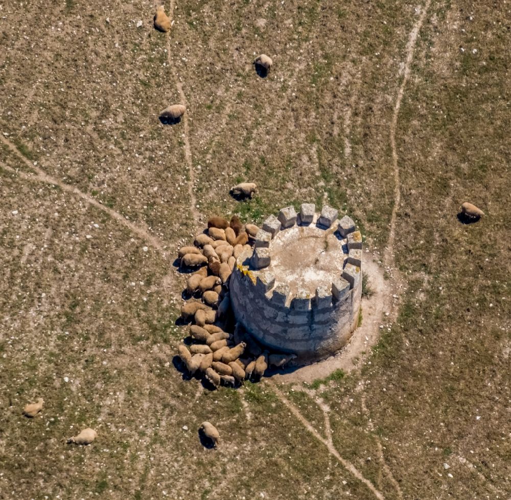Aerial photograph Capdepera - Tower with a flock of sheep near the Torre de Canyamel in Capdepera in Balearic island of Mallorca, Spain