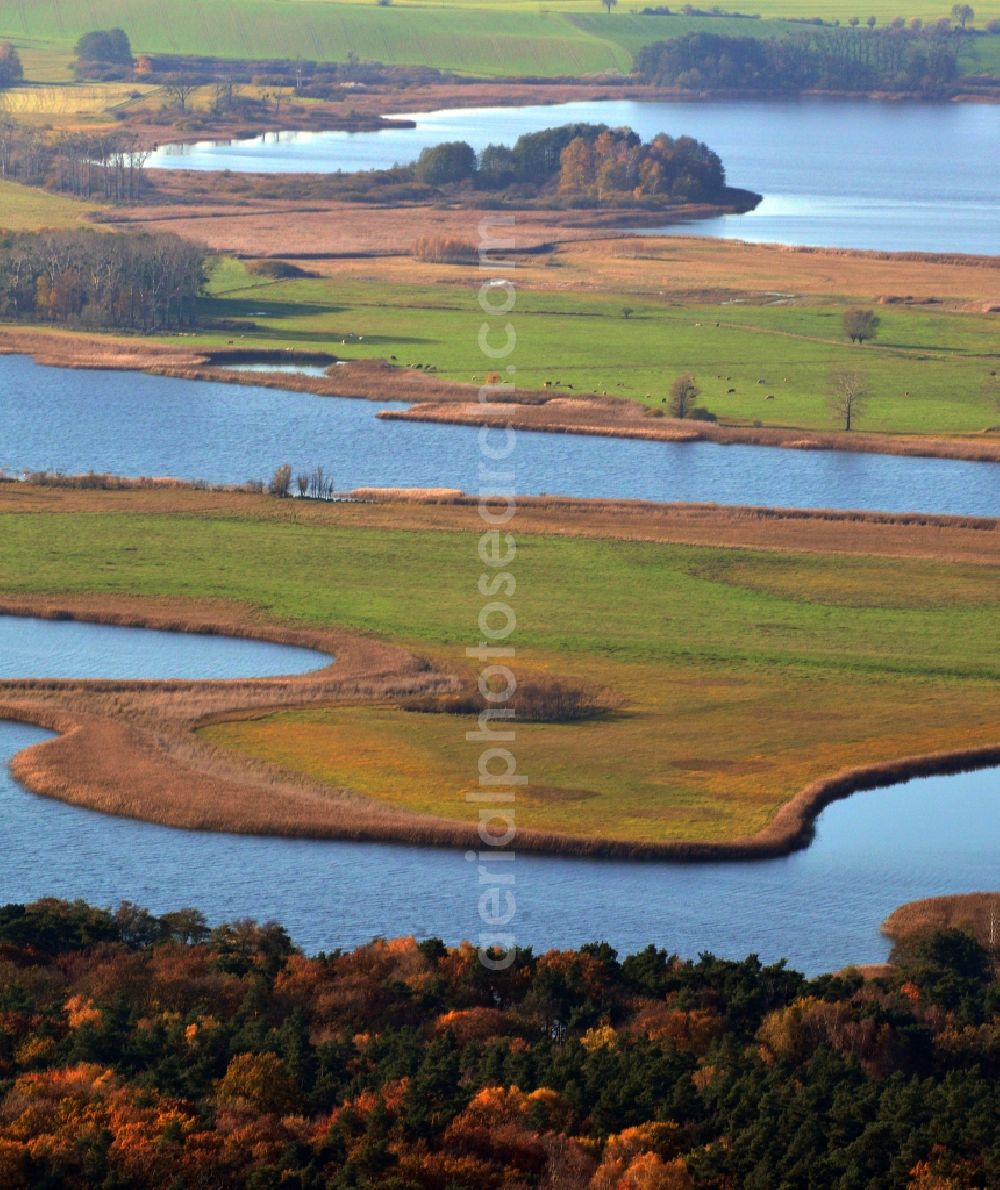 Aerial image Oberuckersee - View of the bank of the lake Oberuckersee in the eponymous municipality in the state Brandenburg