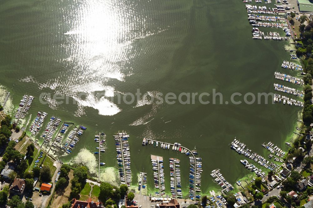 Berlin from above - Riparian areas on the lake area of Wannsee in the district Wannsee in Berlin, Germany
