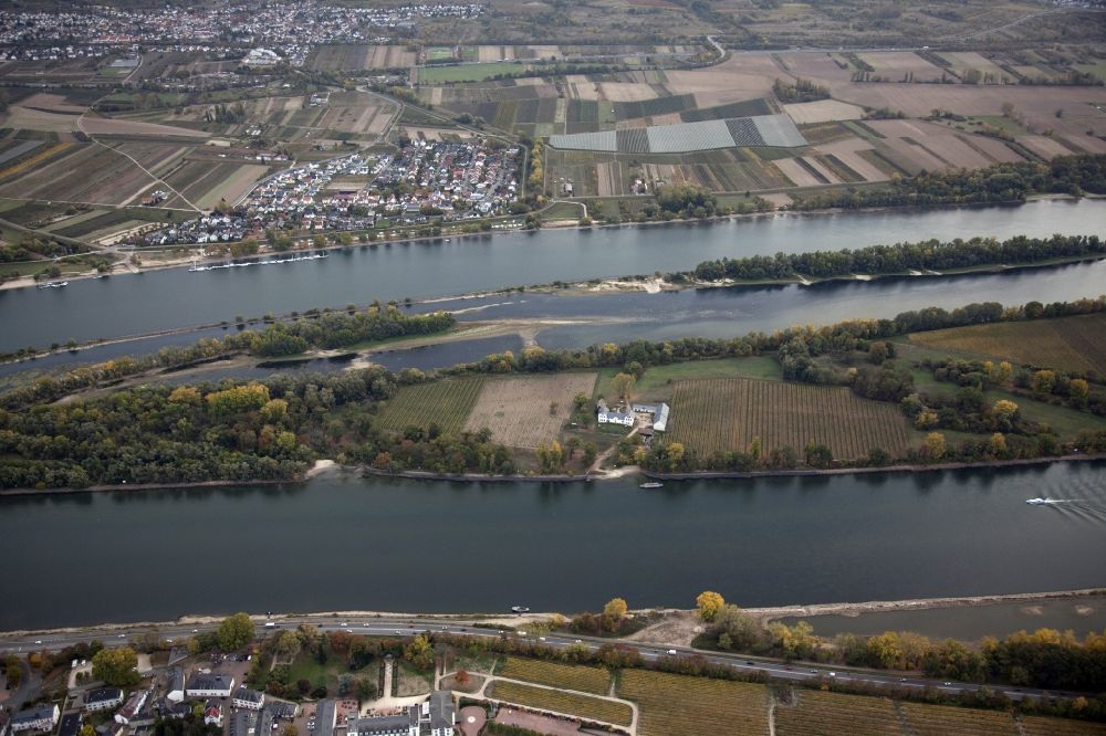Aerial photograph Eltville am Rhein - Shore areas exposed by low-water level riverbed on the Rhine river in Eltville am Rhein in the state Hesse, Germany. In the Rhine is the island of Mariannenaue, a Europe nature reserve