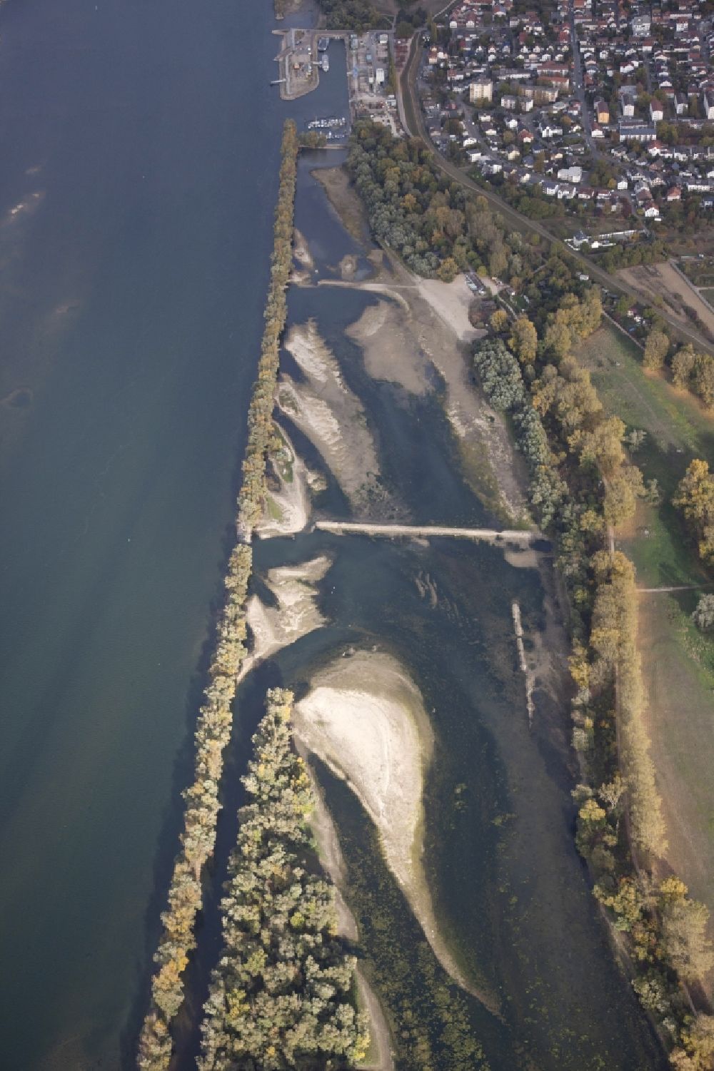 Ingelheim am Rhein from above - Shore areas exposed by low-water level riverbed on the Rhine river in Ingelheim am Rhein in the state Rhineland-Palatinate, Germany