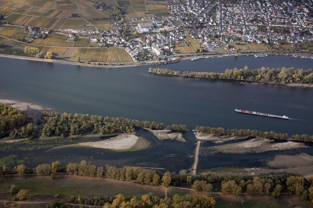 Oestrich-Winkel from above - Shore areas exposed by low-water level riverbed on the Rhine river in Oestrich-Winkel (above) in the state Hesse, Germany