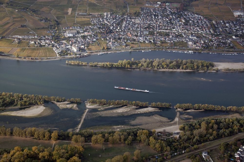Oestrich-Winkel from the bird's eye view: Shore areas exposed by low-water level riverbed on the Rhine river in Oestrich-Winkel (above) in the state Hesse, Germany