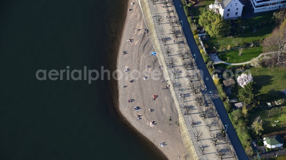 Aerial image Beuel-Mitte - Shore areas exposed by low-water level riverbed of the Rhine river in Beuel-Mitte in the state North Rhine-Westphalia, Germany