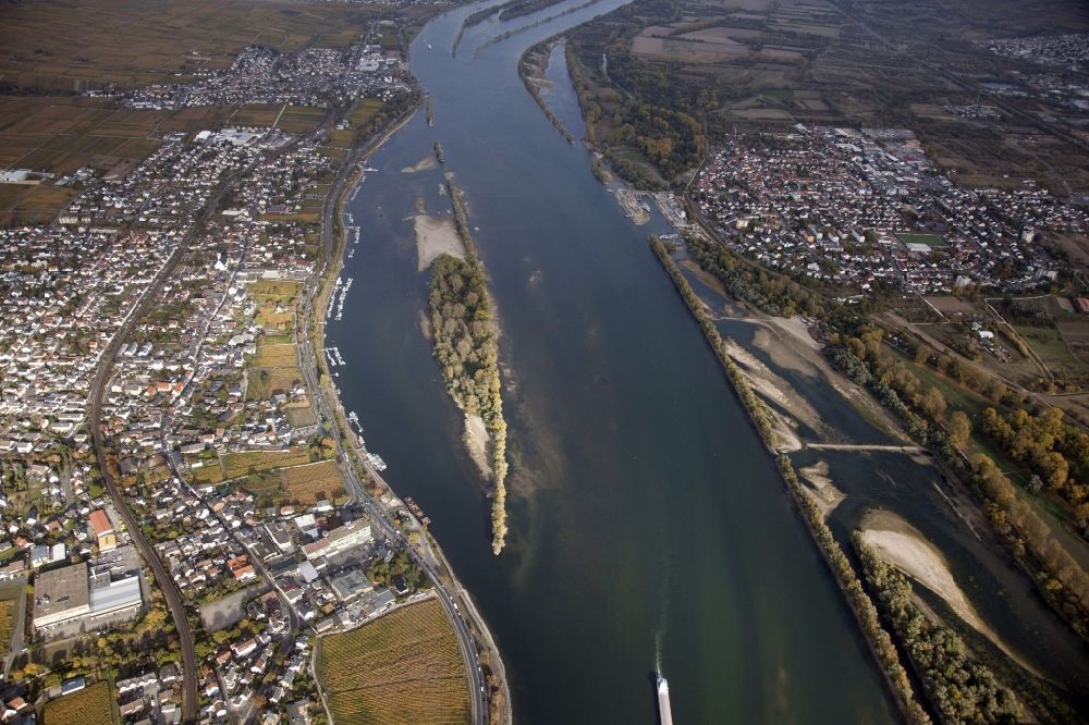 Oestrich-Winkel from the bird's eye view: Shore areas exposed by low-water level riverbed on the Rhine river in Oestrich-Winkel in the state Hesse, Germany. In the river the island Winkeler Aue