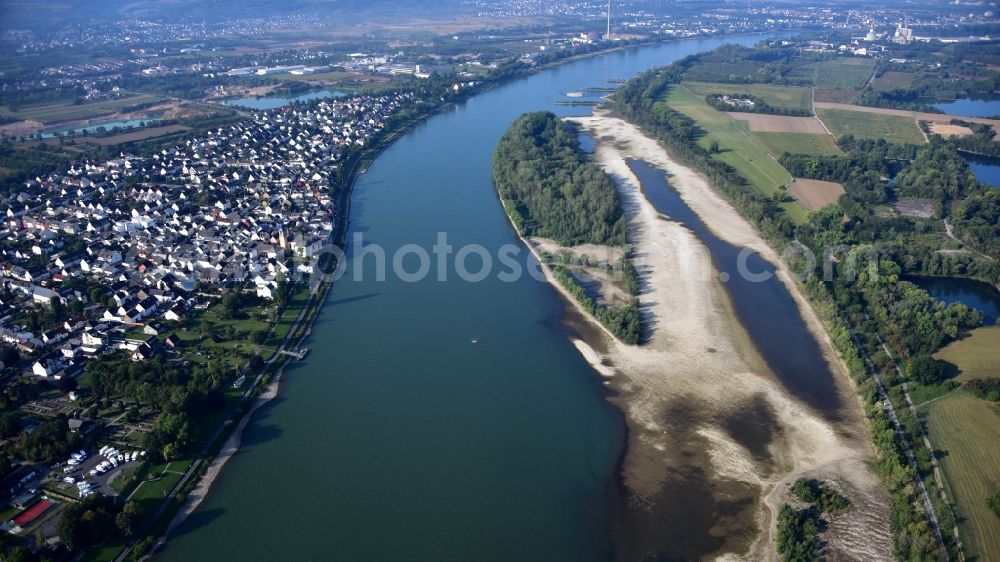 Aerial photograph Neuwied - Shore areas exposed by low-water level riverbed of rhine on Urmitzer Werth in Neuwied in the state Rhineland-Palatinate, Germany